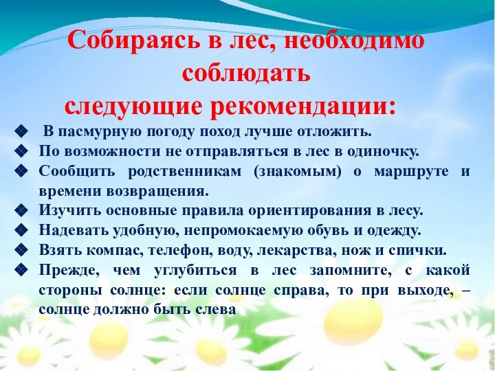 Собираясь в лес, необходимо соблюдать следующие рекомендации: В пасмурную погоду поход лучше