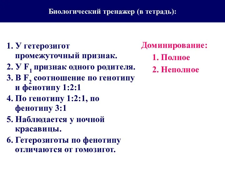 Биологический тренажер (в тетрадь): 1. У гетерозигот промежуточный признак. 2. У F1