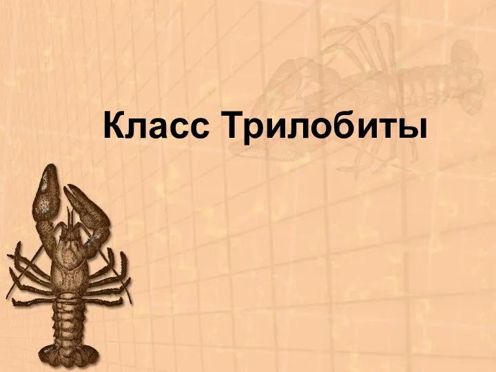 Класс Трилобиты