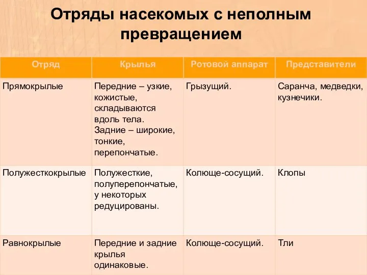 Отряды насекомых с неполным превращением