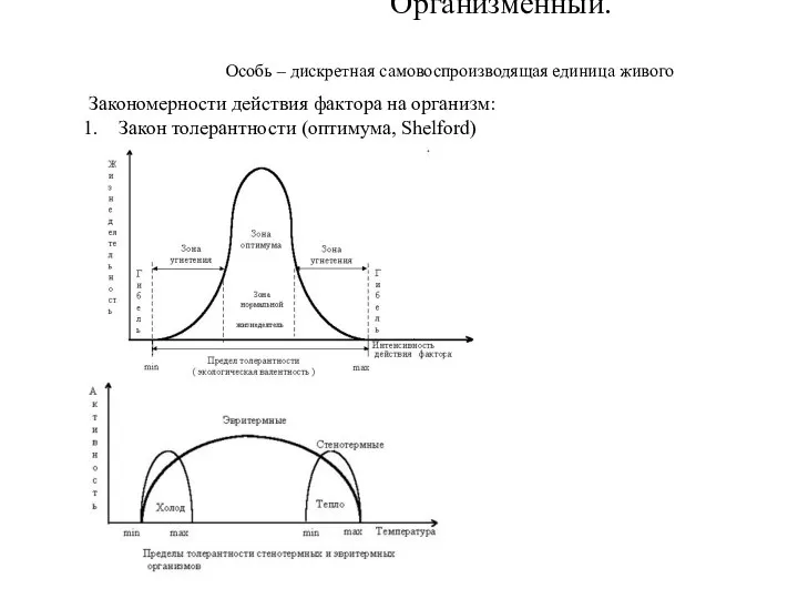 Организменный. Закономерности действия фактора на организм: Закон толерантности (оптимума, Shelford) Особь – дискретная самовоспроизводящая единица живого