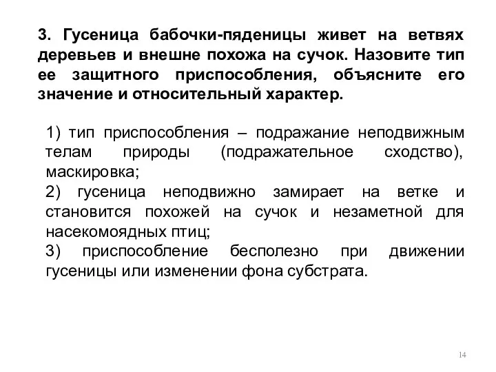 3. Гусеница бабочки-пяденицы живет на ветвях деревьев и внешне похожа на сучок.