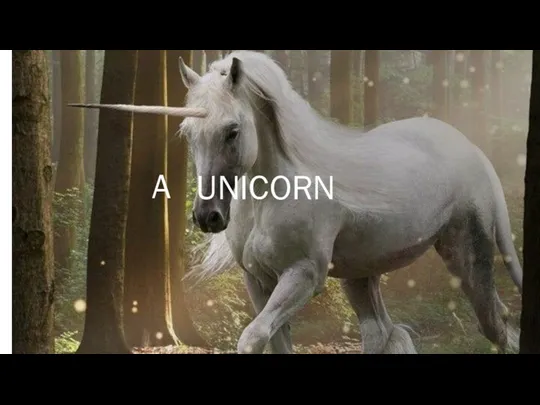 UNICORN A