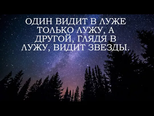 ОДИН ВИДИТ В ЛУЖЕ ТОЛЬКО ЛУЖУ, А ДРУГОЙ, ГЛЯДЯ В ЛУЖУ, ВИДИТ ЗВЕЗДЫ.