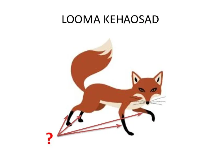 LOOMA KEHAOSAD ?