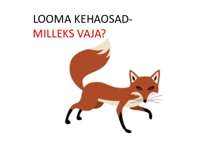 LOOMA KEHAOSAD- MILLEKS VAJA?