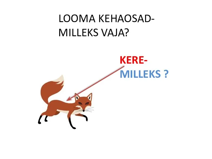 LOOMA KEHAOSAD- MILLEKS VAJA? KERE- MILLEKS ?