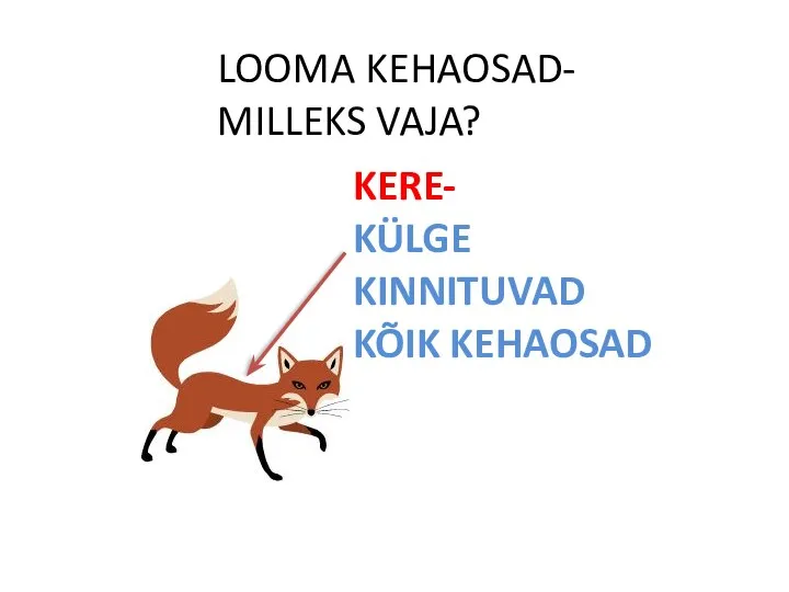 LOOMA KEHAOSAD- MILLEKS VAJA? KERE- KÜLGE KINNITUVAD KÕIK KEHAOSAD