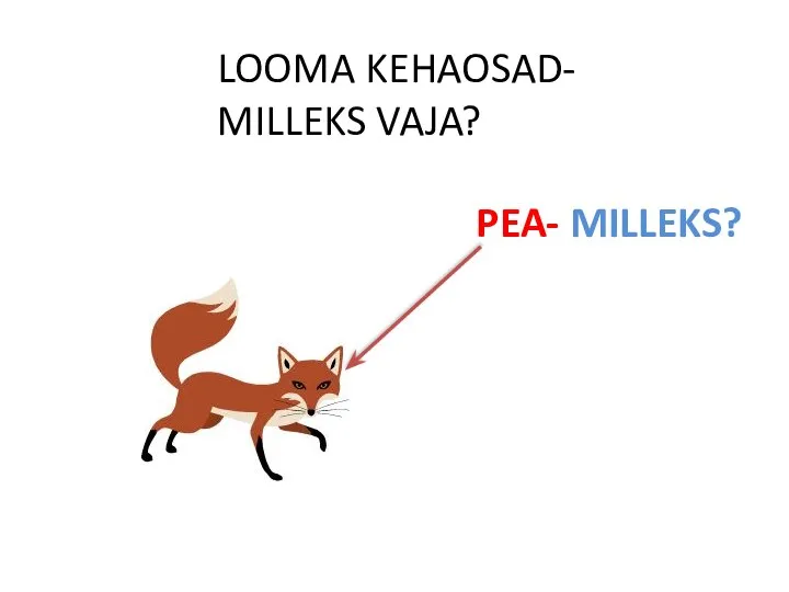 LOOMA KEHAOSAD- MILLEKS VAJA? PEA- MILLEKS?