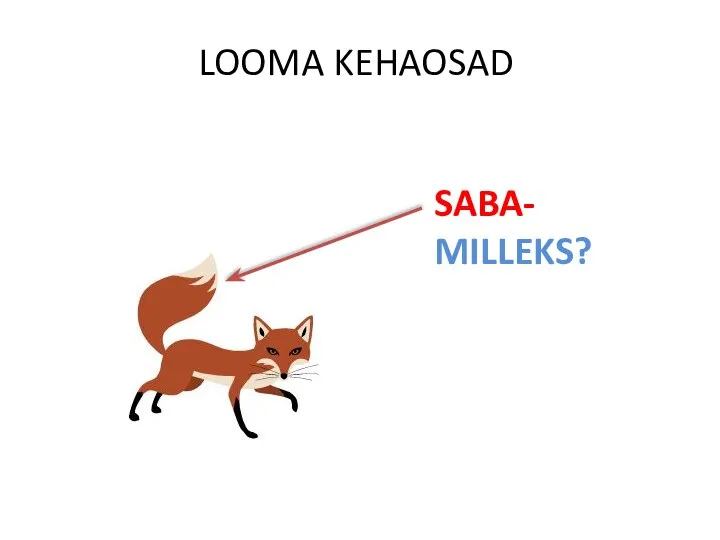 LOOMA KEHAOSAD SABA- MILLEKS?