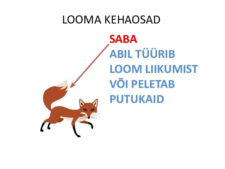 LOOMA KEHAOSAD SABA ABIL TÜÜRIB LOOM LIIKUMIST VÕI PELETAB PUTUKAID