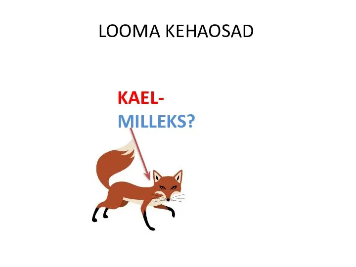 LOOMA KEHAOSAD KAEL- MILLEKS?