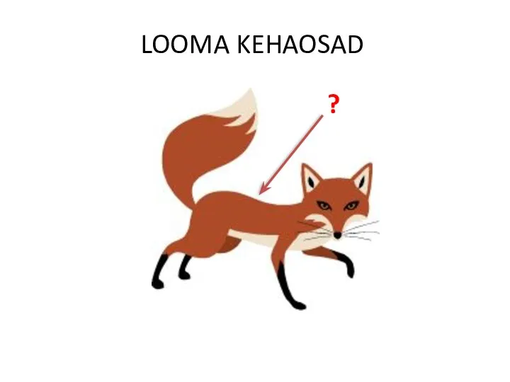 LOOMA KEHAOSAD ?