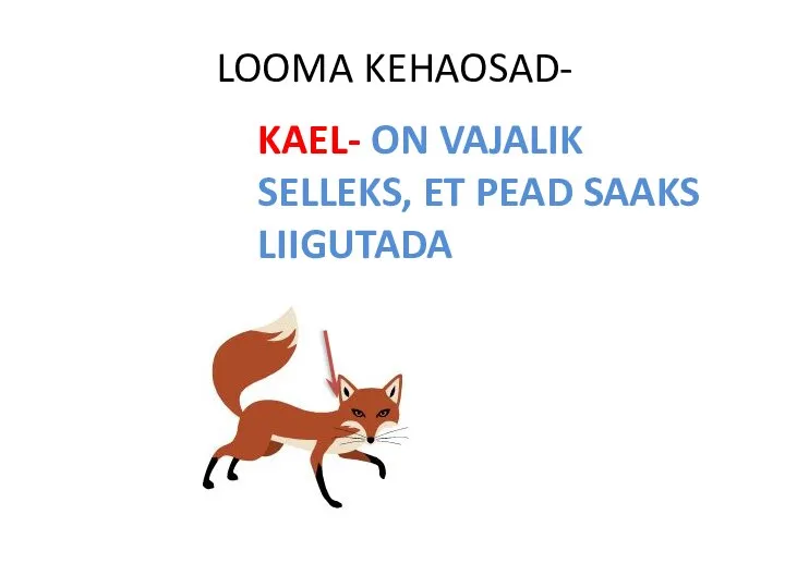 LOOMA KEHAOSAD- KAEL- ON VAJALIK SELLEKS, ET PEAD SAAKS LIIGUTADA