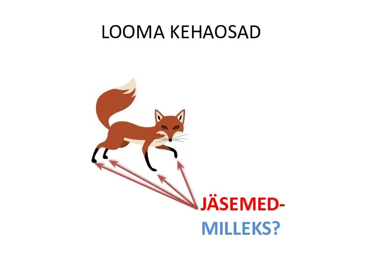 LOOMA KEHAOSAD JÄSEMED- MILLEKS?