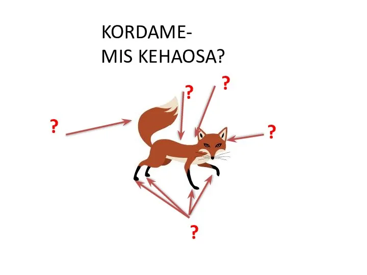 KORDAME- MIS KEHAOSA? ? ? ? ? ?