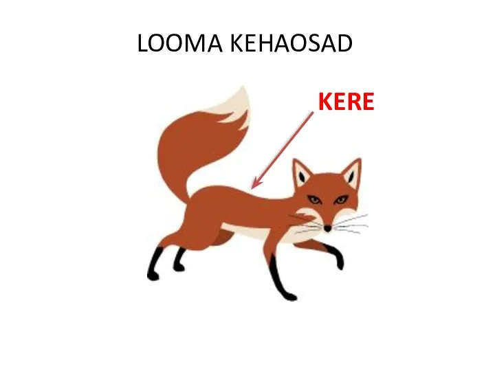 LOOMA KEHAOSAD KERE