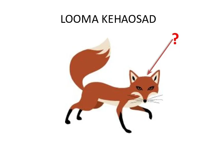 LOOMA KEHAOSAD ?