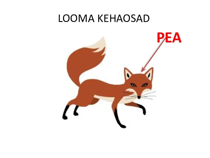 LOOMA KEHAOSAD PEA