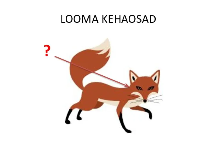 LOOMA KEHAOSAD ?