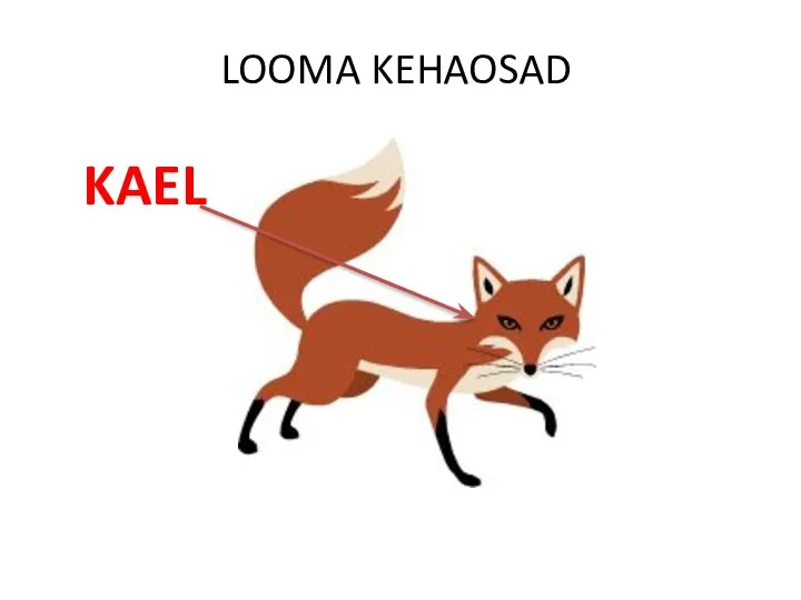 LOOMA KEHAOSAD KAEL