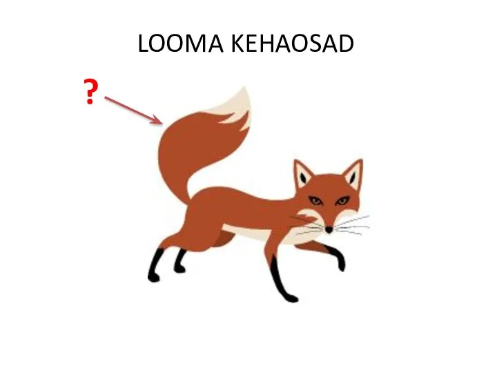 LOOMA KEHAOSAD ?