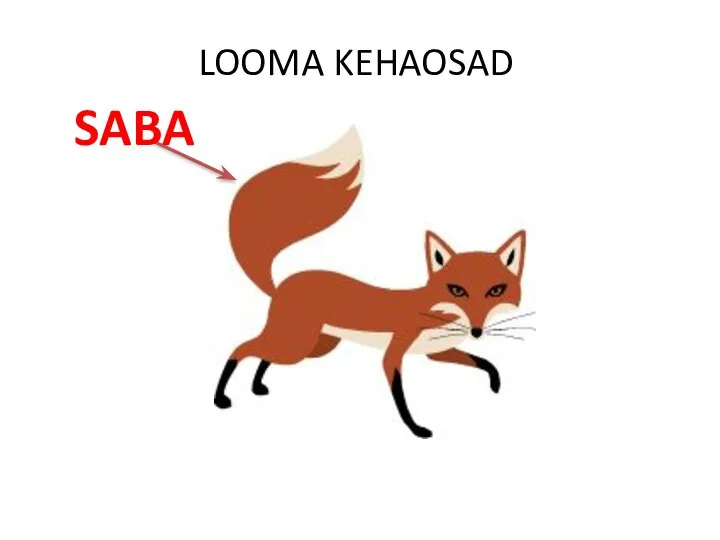 LOOMA KEHAOSAD SABA