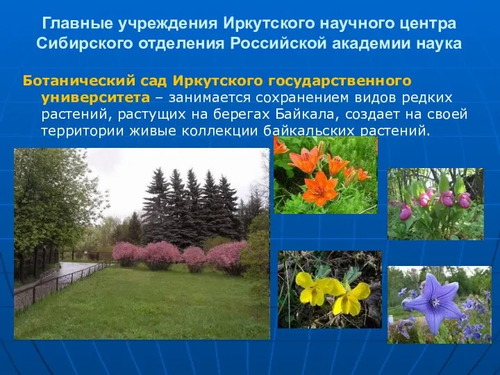 Главные учреждения Иркутского научного центра Сибирского отделения Российской академии наука Ботанический сад
