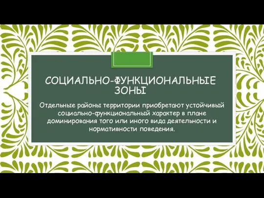 СОЦИАЛЬНО-ФУНКЦИОНАЛЬНЫЕ ЗОНЫ Отдельные районы территории приобретают устойчивый социально-функциональный характер в плане доминирования