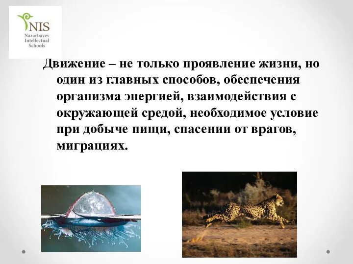 Движение – не только проявление жизни, но один из главных способов, обеспечения