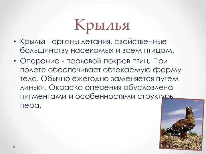 Крылья Крылья - органы летания, свойственные большинству насекомых и всем птицам. Оперение