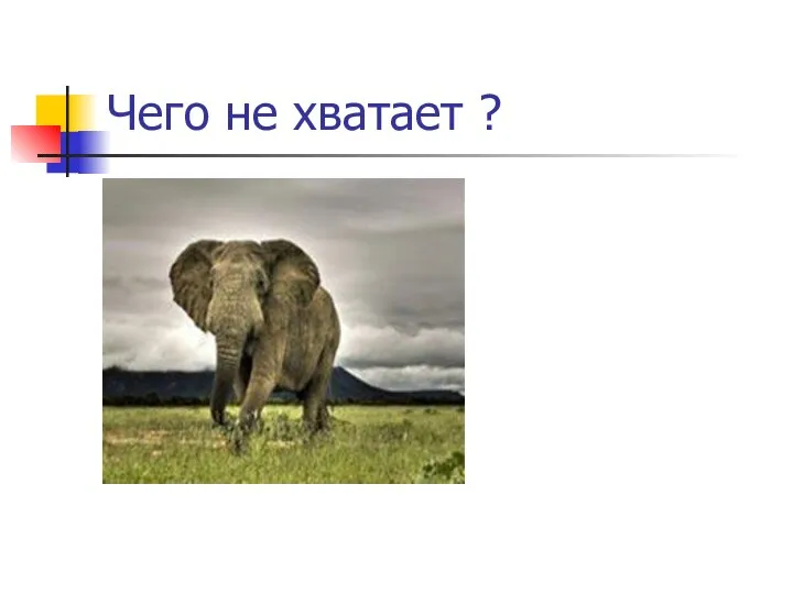 Чего не хватает ?