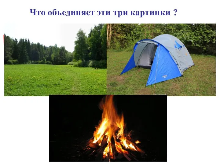 Что объединяет эти три картинки ?