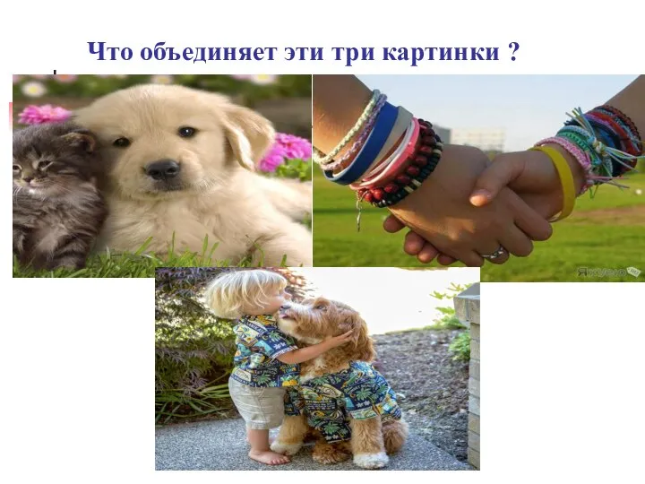 Что объединяет эти три картинки ?