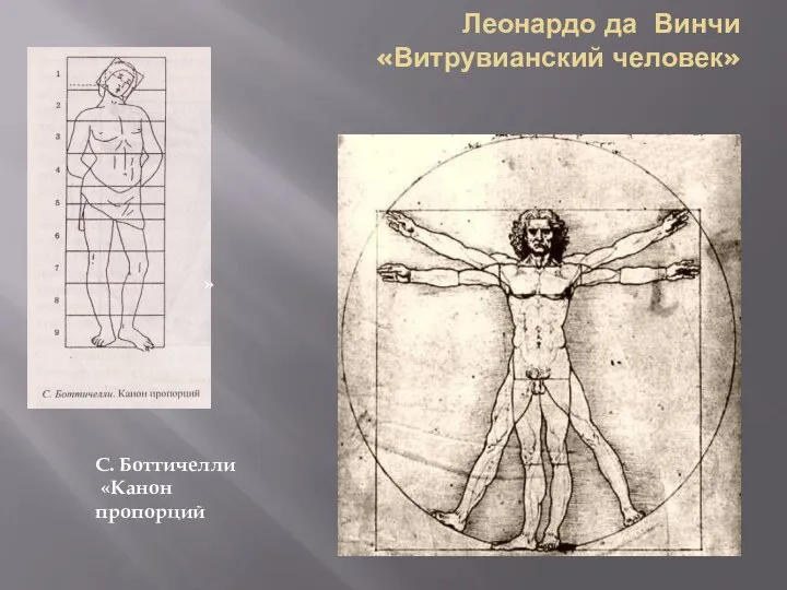 Леонардо да Винчи «Витрувианский человек» » С. Боттичелли «Канон пропорций