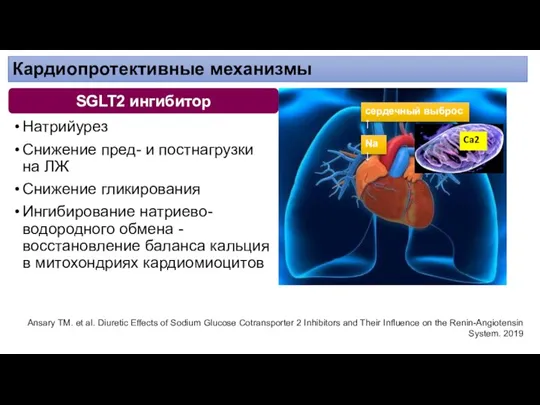 Натрийурез Снижение пред- и постнагрузки на ЛЖ Снижение гликирования Ингибирование натриево-водородного обмена