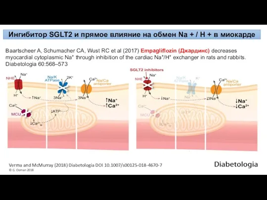 Verma and McMurray (2018) Diabetologia DOI 10.1007/s00125-018-4670-7 © G. Oomen 2018 Baartscheer