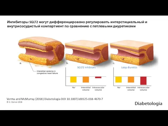 Verma and McMurray (2018) Diabetologia DOI 10.1007/s00125-018-4670-7 © G. Oomen 2018 Ингибиторы