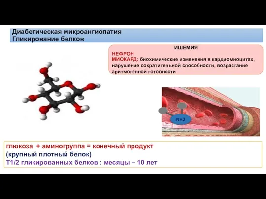 глюкоза + аминогруппа = конечный продукт (крупный плотный белок) Т1/2 гликированных белков