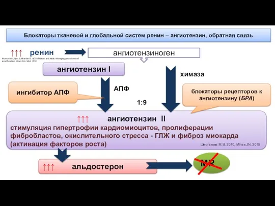 Блокаторы тканевой и глобальной систем ренин – ангиотензин, обратная связь ангиотензиноген ангиотензин