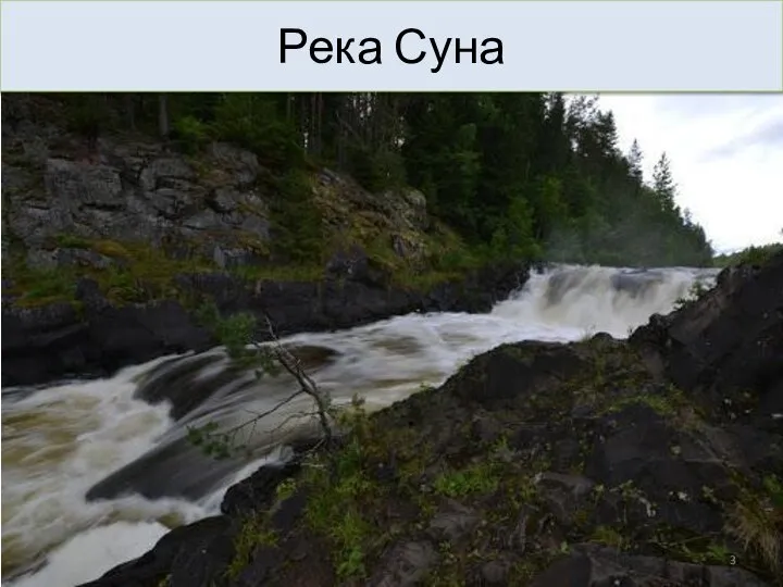 Река Суна