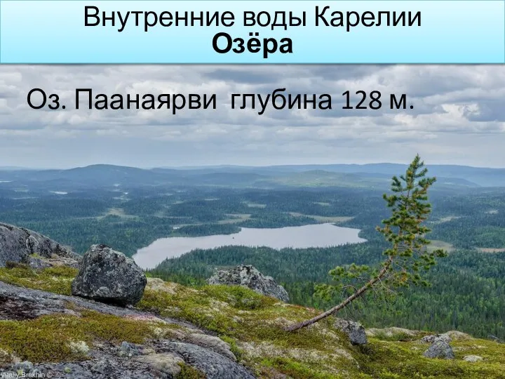 Оз. Паанаярви глубина 128 м. Внутренние воды Карелии Озёра