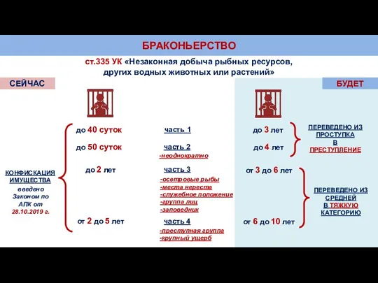 БРАКОНЬЕРСТВО ст.335 УК «Незаконная добыча рыбных ресурсов, других водных животных или растений»