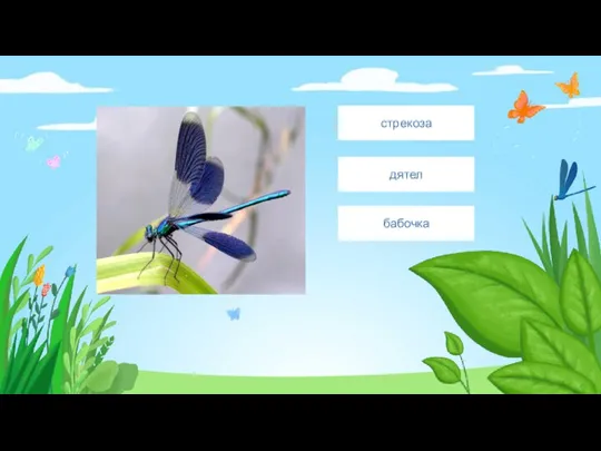 Введите сюда текст вопроса стрекоза дятел бабочка