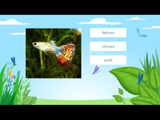 Введите сюда текст вопроса рыба лягушка бабочка