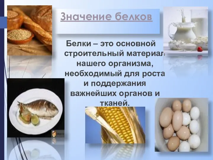 Значение белков Белки – это основной строительный материал нашего организма, необходимый для