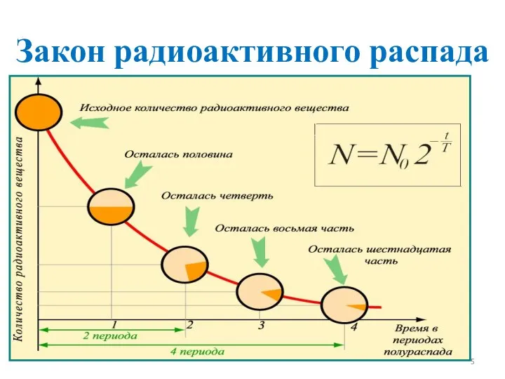 Закон радиоактивного распада Период полураспада Т – интервал времени, в течение которого