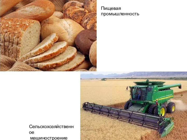 Пищевая промышленность Сельскохозяйственное машиностроение