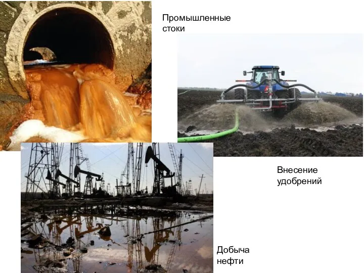 Промышленные стоки Внесение удобрений Добыча нефти