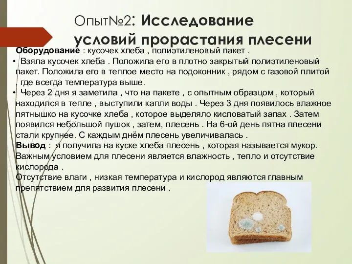 Опыт№2: Исследование условий прорастания плесени Оборудование : кусочек хлеба , полиэтиленовый пакет